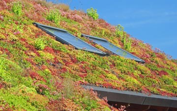 Ardindrean living roof systems