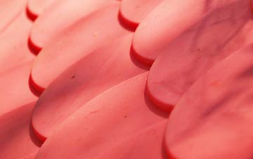 Ardindrean plastic roof costs