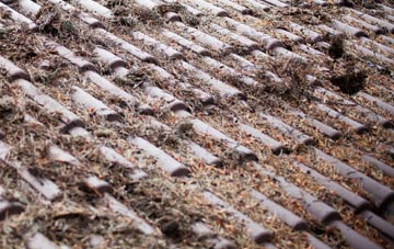 Ardindrean roof cleaning companies