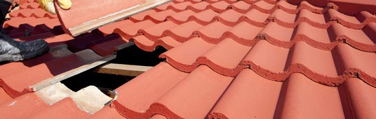 compare Ardindrean roof repair quotes