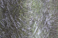 Ardindrean fibreglass roof work