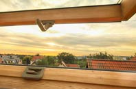 rated Ardindrean roof window companies